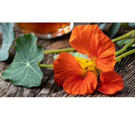 Nasturcja FORTE +Witamina C +Sangre