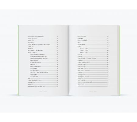 Moje porady "od głowy do stóp" – dr Pasznada