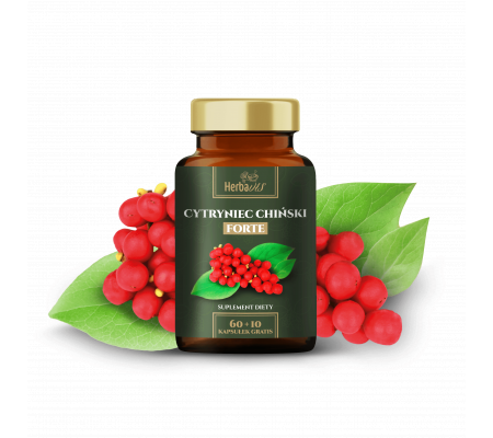 Cytryniec chiński FORTE