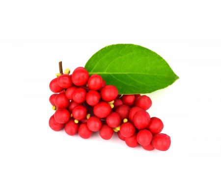 Cytryniec chiński FORTE